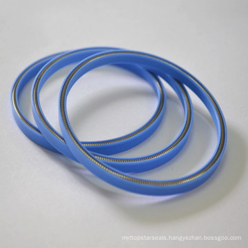 High Quality Spring Energized Seals Made in China for Engine Parts